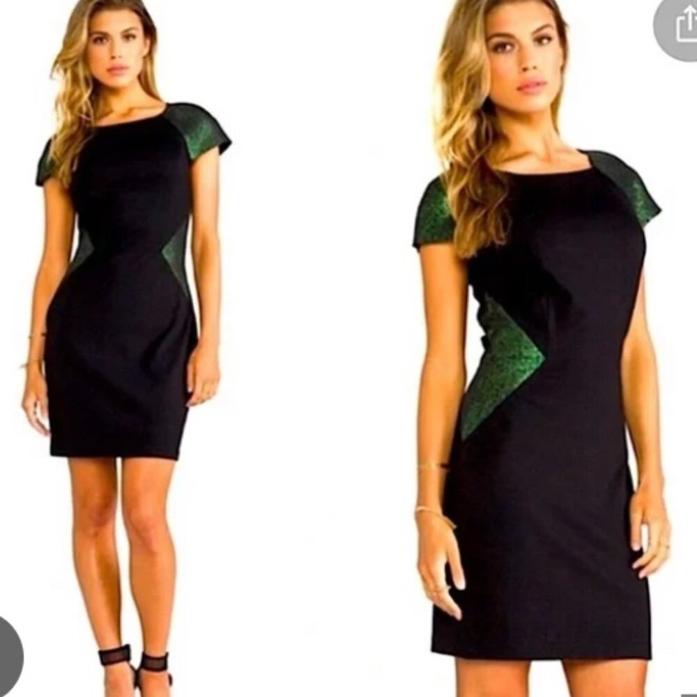 ERIN By Erin Fetherston Elaine Dress Bodycon Cocktail Dress Sz 0